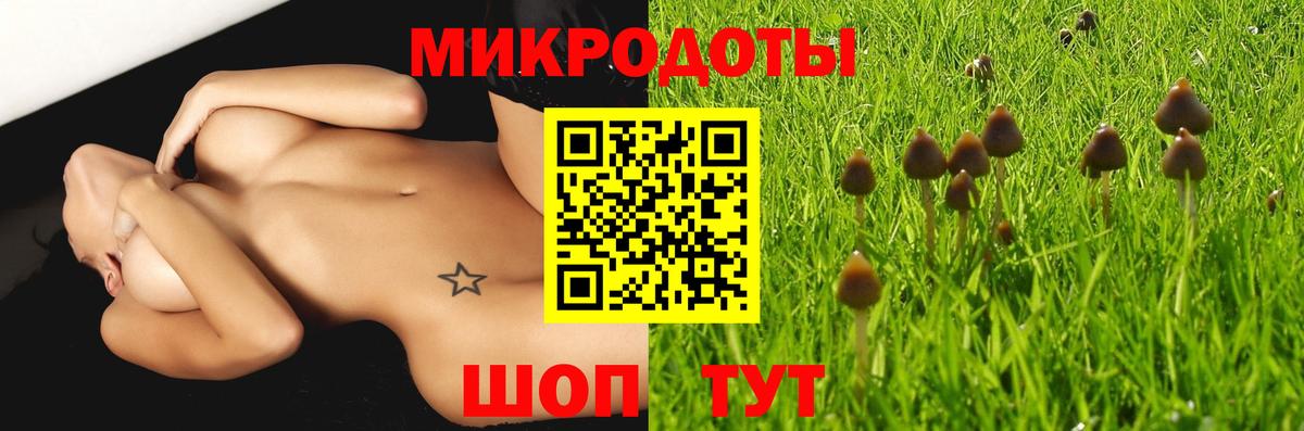 Махачкала  Галлюциногенные грибы GOLDEN TEACHER  Вход с VPN  купить наркоту  Галлюциногенные грибы Magic Shrooms 