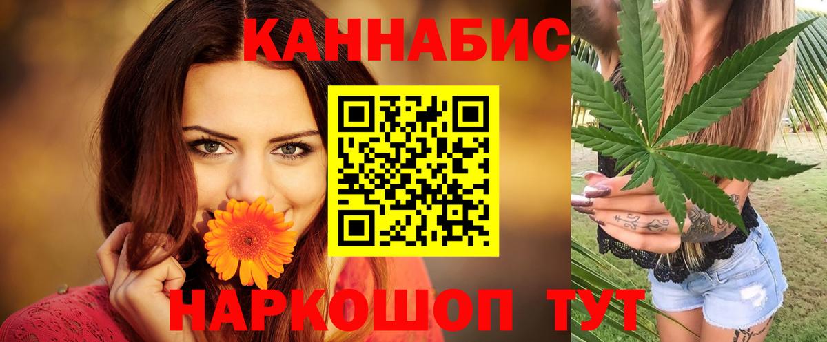 Конопля конопля Махачкала